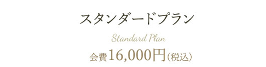 スタンダードプラン